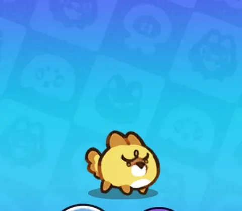 ヒパピー