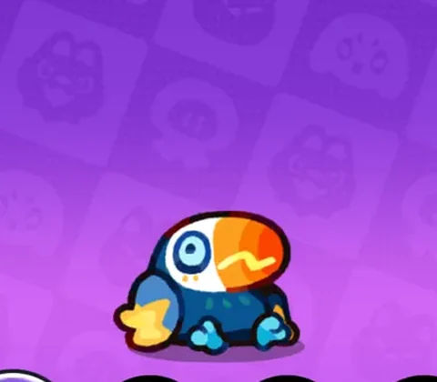 ビリピヨ