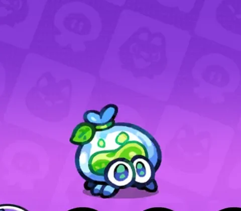 フクロクモ