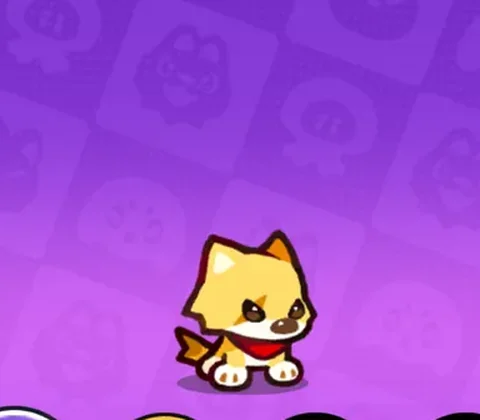パチルフ